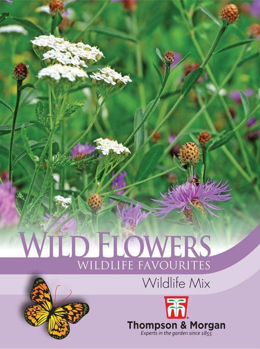 Thompson & Morgan (Uk) Ltd Gardening Wild Flower Wildlife Mix
