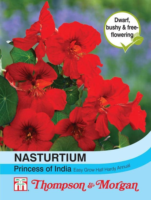 Thompson & Morgan (Uk) Ltd Gardening Nasturtium Princess of India