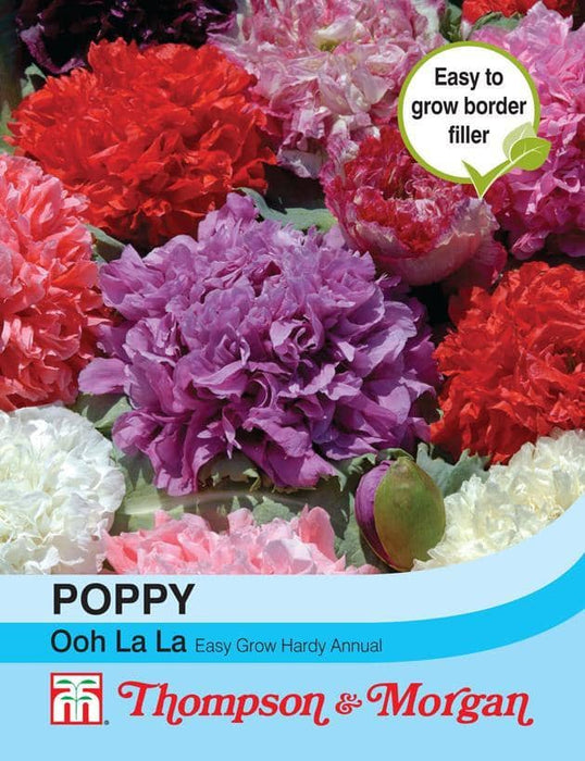 Thompson & Morgan (Uk) Ltd Gardening Poppy Ooh la la