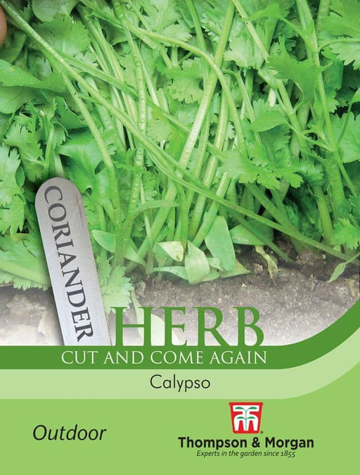 Thompson & Morgan (Uk) Ltd Gardening Herb Coriander Calypso