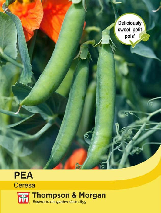 Thompson & Morgan (Uk) Ltd Gardening Pea Ceresa