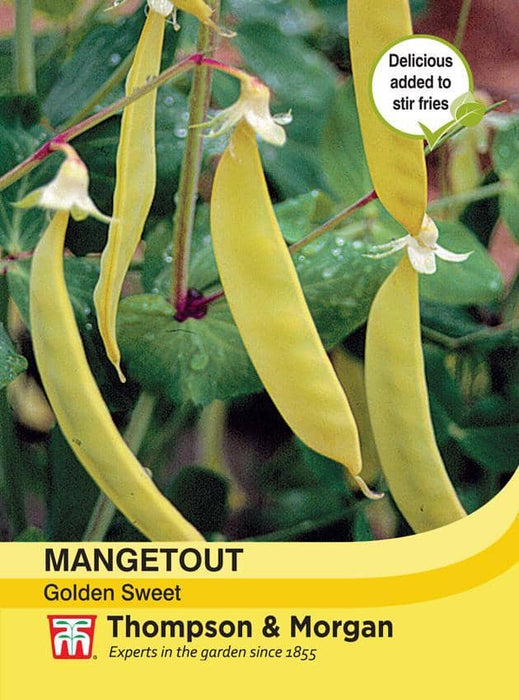 Thompson & Morgan (Uk) Ltd Gardening Mangetout Golden Sweet