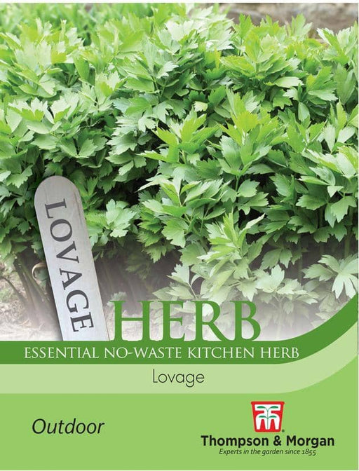 Thompson & Morgan (Uk) Ltd Gardening Herb Lovage