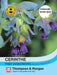 Thompson & Morgan (Uk) Ltd Gardening Cerinthe major purpurascens