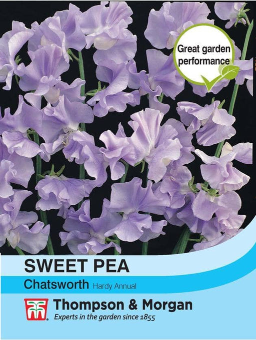 Thompson & Morgan (Uk) Ltd Gardening Sweet Pea Chatsworth
