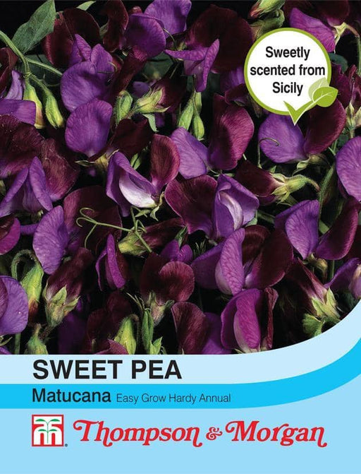 Thompson & Morgan (Uk) Ltd Gardening Sweet Pea Matucana
