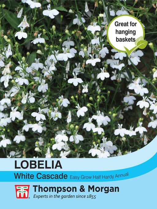 Thompson & Morgan (Uk) Ltd Gardening Lobelia (Trailing) White Cascade