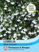 Thompson & Morgan (Uk) Ltd Gardening Lobelia (Trailing) White Cascade