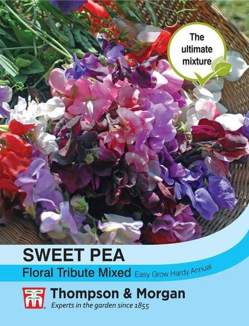 Thompson & Morgan (Uk) Ltd Gardening Sweet Pea Floral Tribute Mixed