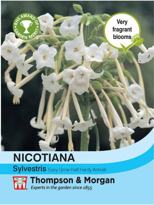 Thompson & Morgan (Uk) Ltd Gardening Nicotiana sylvestris