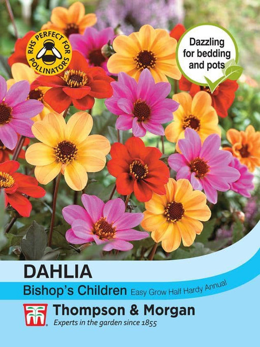 Thompson & Morgan (Uk) Ltd Gardening Dahlia Bishops Children
