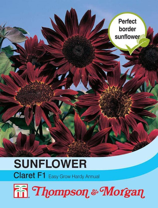 Thompson & Morgan (Uk) Ltd Gardening Sunflower Claret