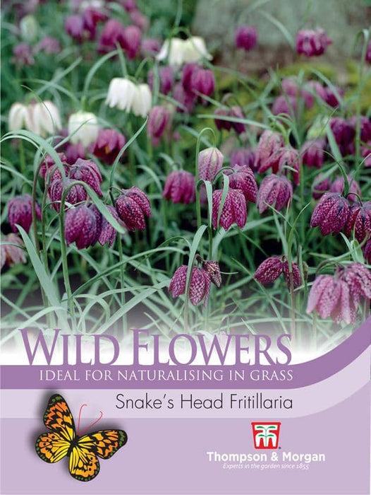 Thompson & Morgan (Uk) Ltd Gardening Wild Flower Snakes Head Fritallaria