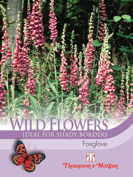 Thompson & Morgan (Uk) Ltd Gardening Wild Flower Foxglove