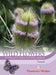 Thompson & Morgan (Uk) Ltd Gardening Wildflower Teasel