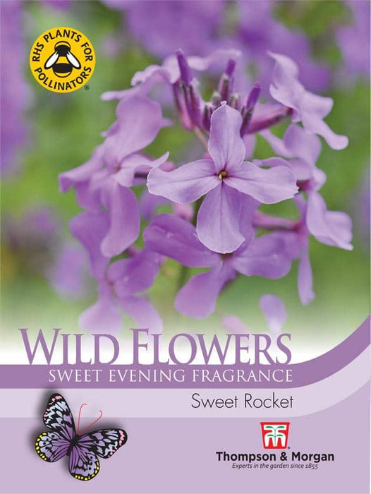 Thompson & Morgan (Uk) Ltd Gardening Wildflower Sweet Rocket