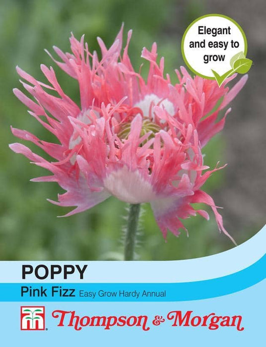 Thompson & Morgan (Uk) Ltd Gardening Poppy Pink Fizz