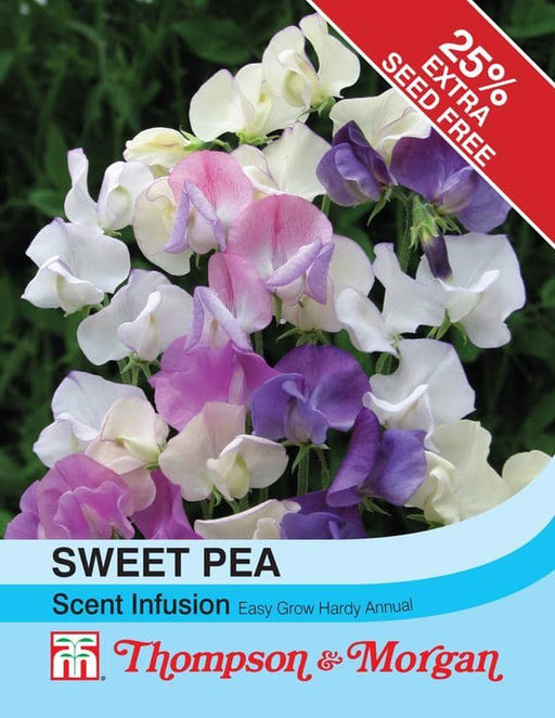 Thompson & Morgan (Uk) Ltd Gardening Sweet Pea Scent Infusion