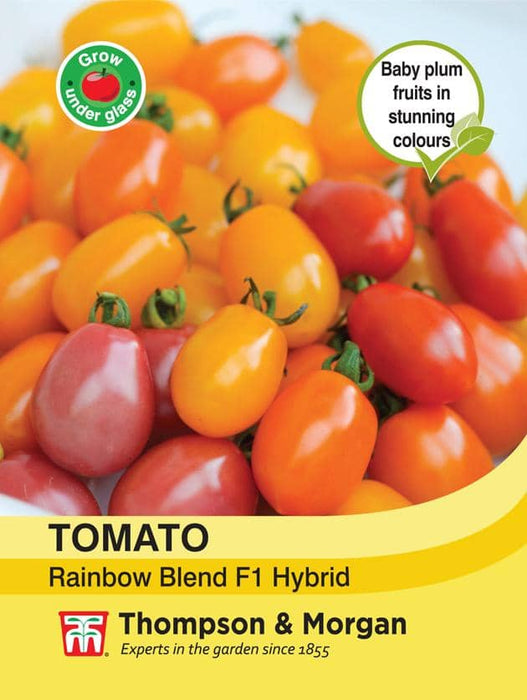 Thompson & Morgan (Uk) Ltd Gardening Tomato Rainbow Blend F1 Hybrid