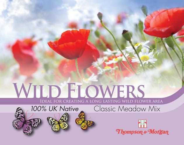 Thompson & Morgan (Uk) Ltd Gardening Wild Flower Classic Meadow