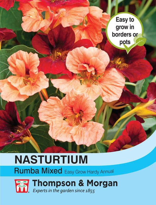 Thompson & Morgan (Uk) Ltd Gardening Nasturtium Rumba Mixed
