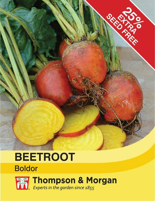 Thompson & Morgan (Uk) Ltd Gardening Beetroot Bolder