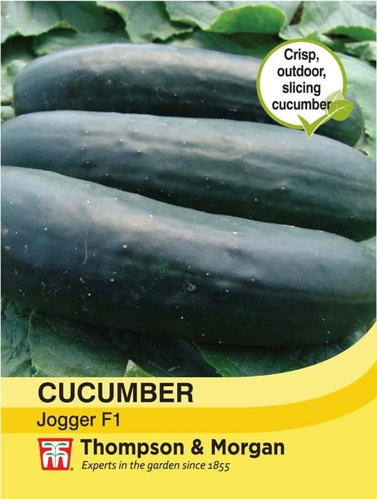 Thompson & Morgan (Uk) Ltd Gardening Cucumber Jogger F1 Hybrid