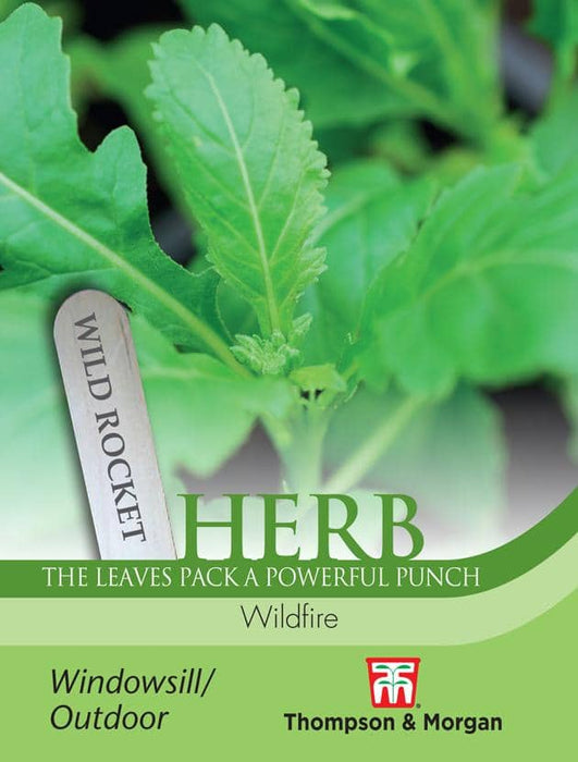 Thompson & Morgan (Uk) Ltd Gardening Herb Wild Rocket Wildfire