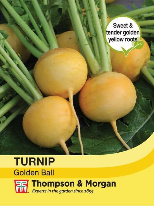 Thompson & Morgan (Uk) Ltd Gardening Turnip Golden Ball