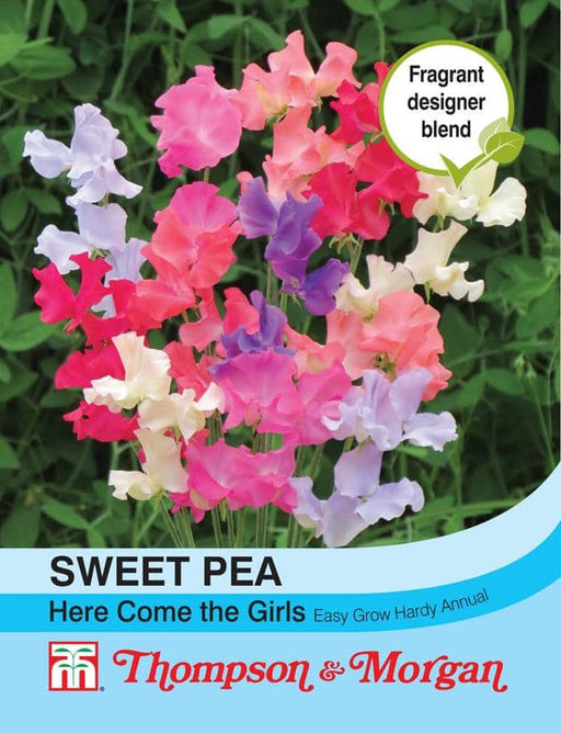 Thompson & Morgan (Uk) Ltd Gardening Sweet Pea Here Comes The Girls