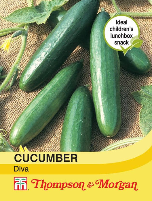 Thompson & Morgan (Uk) Ltd Gardening Cucumber Diva