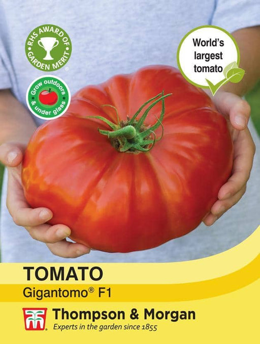 Thompson & Morgan (Uk) Ltd Gardening Tomato Gigantomo F1 Hybrid