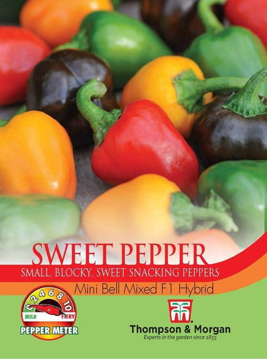 Thompson & Morgan (Uk) Ltd Gardening Pepper Sweet Mini Bell Mixed F1 Hybrid