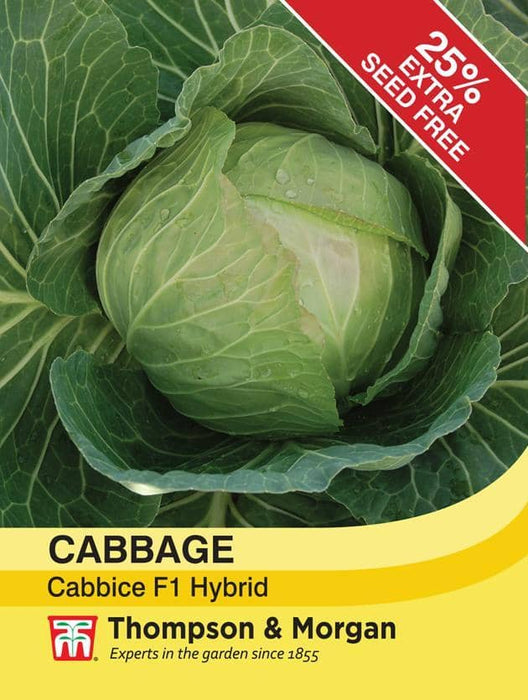 Thompson & Morgan (Uk) Ltd Gardening Cabbage Cabbice F1 Hybrid