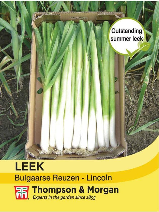 Thompson & Morgan (Uk) Ltd Gardening Leek Bulgaarse Reuzen - Lincoln