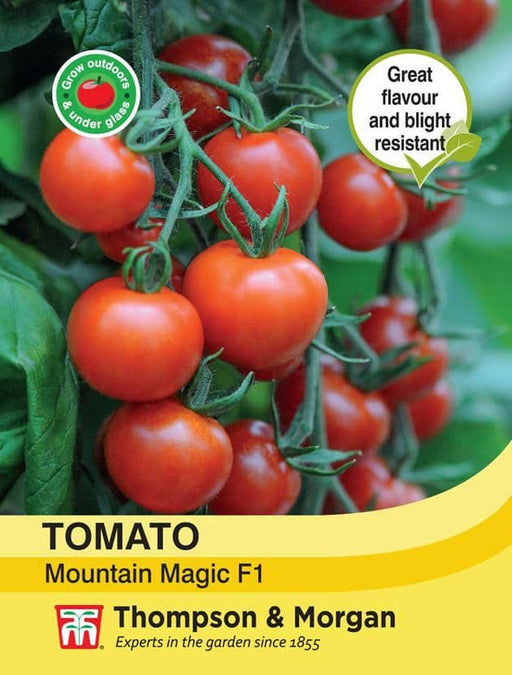Thompson & Morgan (Uk) Ltd Gardening Tomato Mountain Magic F1 Hybrid