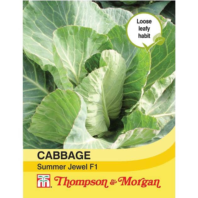 Thompson & Morgan (Uk) Ltd Gardening Cabbage Summer Jewel F1 Hybrid