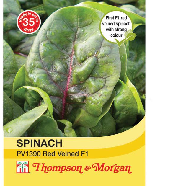Thompson & Morgan (Uk) Ltd Gardening Spinach Red Veined