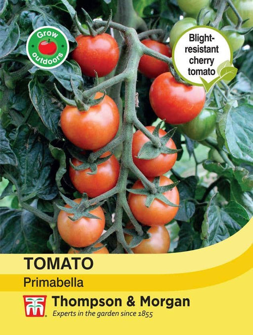 Thompson & Morgan (Uk) Ltd Gardening Tomato Primabella