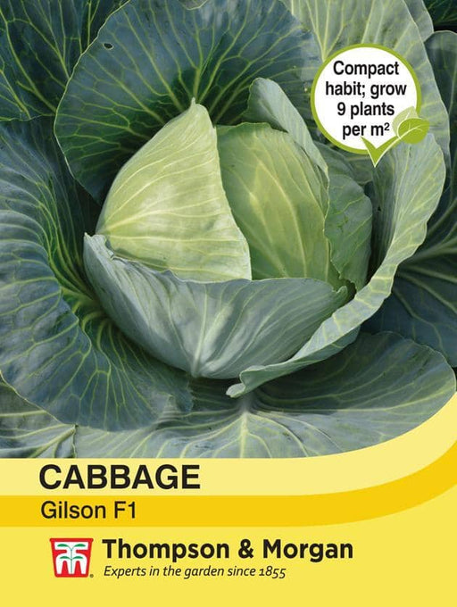 Thompson & Morgan (Uk) Ltd Gardening Cabbage Gilson F1