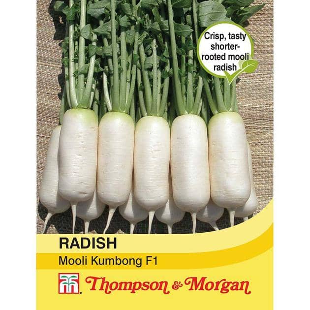Thompson & Morgan (Uk) Ltd Gardening Radish Mooli Kumbong F1