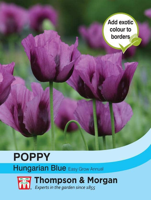 Thompson & Morgan (Uk) Ltd Gardening Poppy Hungarian Blue
