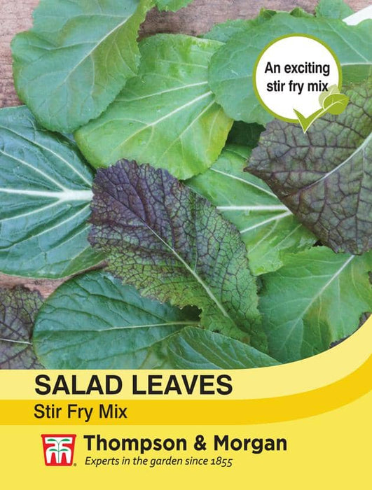 Thompson & Morgan (Uk) Ltd Gardening Salad Leaves Stir Fry Mix