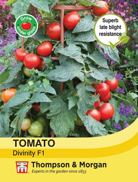 Thompson & Morgan (Uk) Ltd Gardening Tomato Divinity