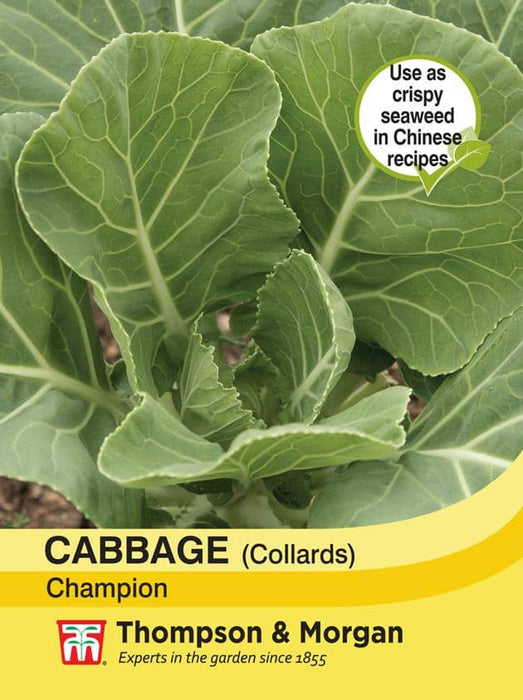 Thompson & Morgan (Uk) Ltd Gardening Cabbage Collards Champion