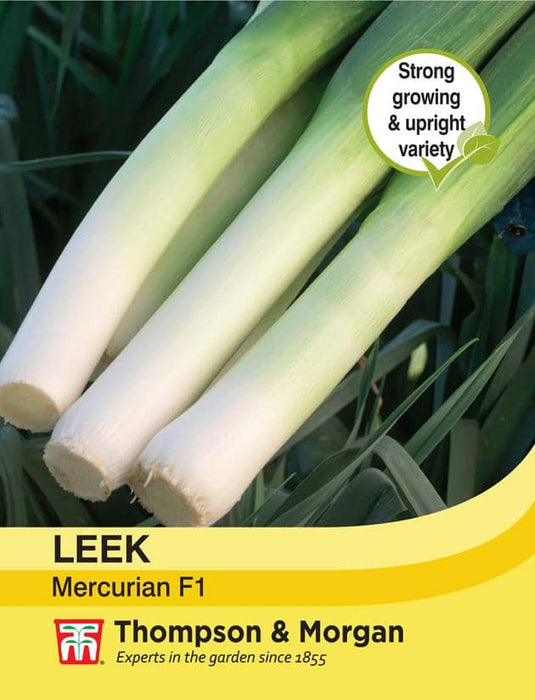 Thompson & Morgan (Uk) Ltd Gardening Leek Mercurian F1 Hybrid