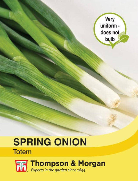 Thompson & Morgan (Uk) Ltd Gardening Spring Onion Totem