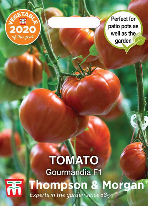 Thompson & Morgan (Uk) Ltd Gardening Tomato Gourmandia F1 Hybrid