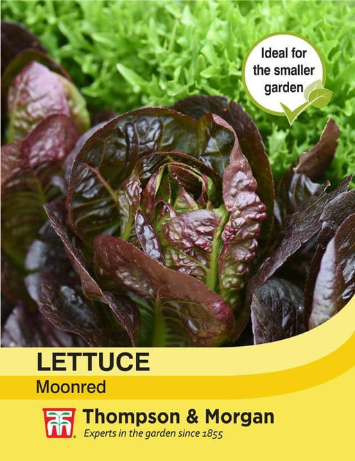Thompson & Morgan (Uk) Ltd Gardening Lettuce Moonred
