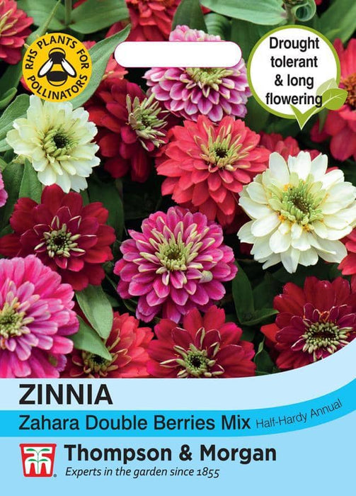 Thompson & Morgan (Uk) Ltd Gardening Zinnia marylandica Zahara Double Berries Mix
